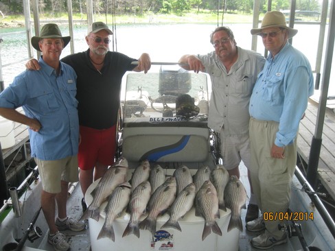 Nice Striped Bass